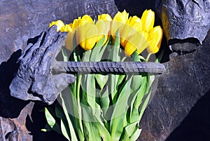 A monument of the Evacuation of Warsaw Ghetto Fighters