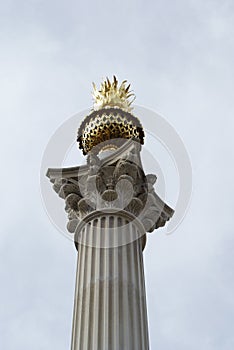 The Monument, London, England, UK