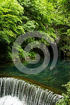 Monument of nature, spring of  river Krupaja or Krupajsko vrelo with underwater cave. Beautiful natural oasis  and tourist