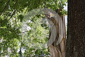 Monument of russian soldier in Czech Rebublic