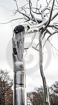 Monument to a broken tree