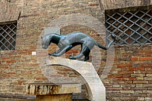Panther Contrada in Siena - Italy photo