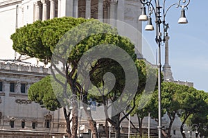 Monument to Victor Emmanuel II or Vittoriano, Rome, Italy. It is landmark of Rome. Beautiful view of Memorial of