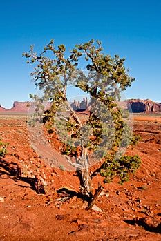 Monument Valley