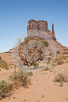 Monument Valley Navajo Tribal Park