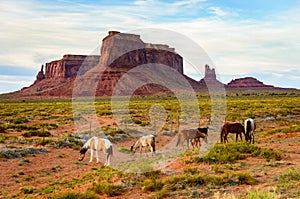 Monument Valley Navajo Tribal Park