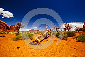 Monument Valley, Navajo Tribal Park, Arizona, USA