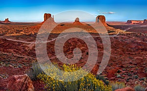 Monument Valley sunset with yellow plant