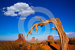 Monument Valley West and East Mittens and Merrick Butte photo