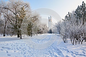 The monument in winter landscape