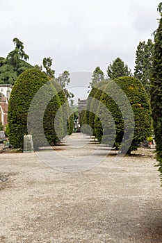 Monumental Cemetery of Milan