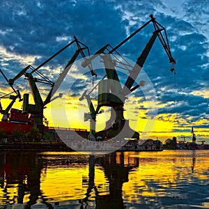 Monumental cranes at sunset