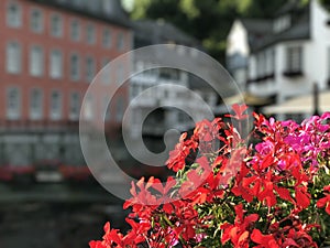 Monumental house das Rotes Haus