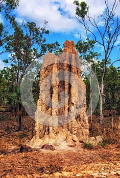 Monumental termite mound in Kakadu National Park, Northern Australia