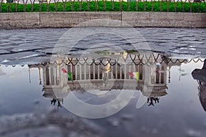 Monumento a Vittorio Emanuele II in Puddle Reflection, Rome, Italy photo