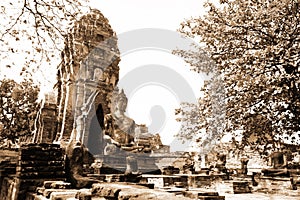Monuments of buddah, ruins of Ayutthaya