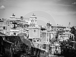 Slightly silvery Roma 6