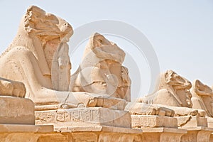 Monuments at Luxor (Karnak) Egypt