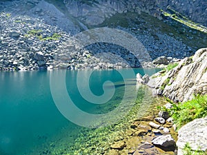 Scenico da vicino da Alpi, 