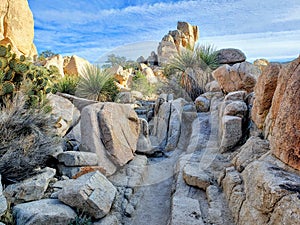 Monzogranite rock formations along the Hidden Valley hiking trail at Joshua Tree National Park, California