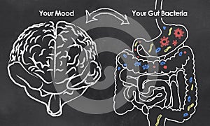 Mood and Gut Bacteria