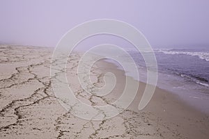 Moody beach in Wellfleet, MA Cape Cod. photo