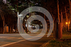 Moody bike path in a city park, at night, illuminated by the park`s light poles. Alexandru Ioan Cuza park also known as IOR.