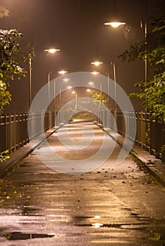 Moody Bridge on a Hazy Night