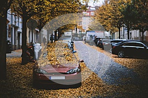 Moody day in the city. Orange, yellow leaves on the cars during a autumn period. Prague city in a Europe. Fall background with veh