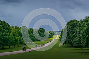 A Moody Day at The Long Walk in Windsor Great Park