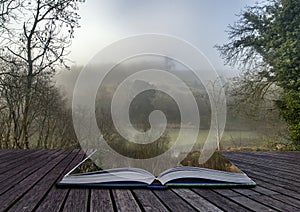 Moody dramatic foggy forest landscape Spring Autumn Fall