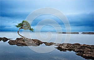 Moody dramatic seascape long exposure