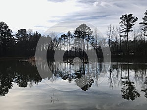 Moody Dusk Silhouette Reflection of Tree Line Landscape