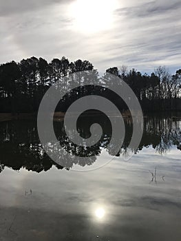 Moody Dusk Silhouette Reflection of Tree Line Landscape