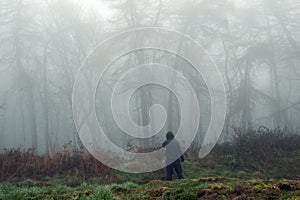 A moody edit of a spooky hooded figure standing on the edge of a forest in the countryside. On a bleak foggy, winters day