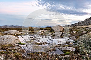 Moody evening close-up shot of an alpine pond with grass details and a white rock near the summit of Mount Kosciuszko
