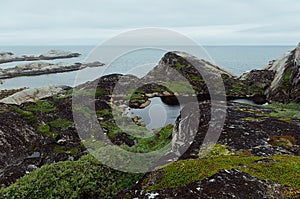 Moody grey arctic coast with sea view - slope of granite shore with smooth rocks  and lush green meadow, Barents Sea in haze.