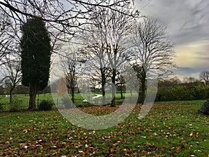 Moody light and Fenton country park