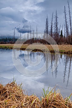 A moody morning at Vermillion Lakes in Banff National Park, Alberta