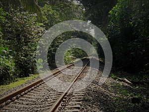 Moody Railway Tracks in Panama