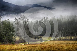A moody scene in Cades Cove as the fog lifts.