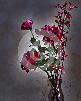 Moody shot of red roses in glass vase.