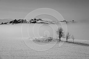 Moody sky hangs over a rural landscape, with silhouetted trees dotting the horizon