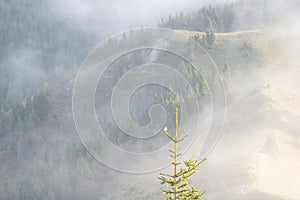 moody sunrise in austrias lower alps