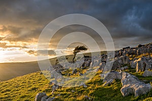 Moody sunrise on the Yorkshire moors