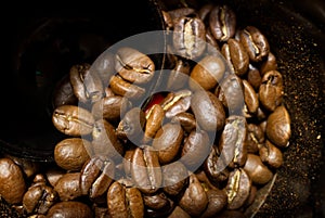 Roasted coffee bean inside grinder machine.