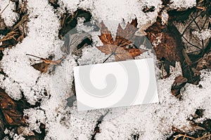 Moody winter styled stock photo. Closeup of blank business card mock-up on frozen ground with dry maple leaves and snow