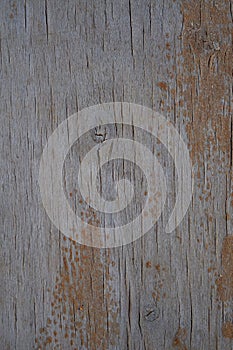 Moody wood texture for background