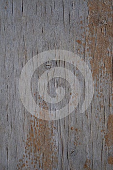 Moody wood texture for background photo