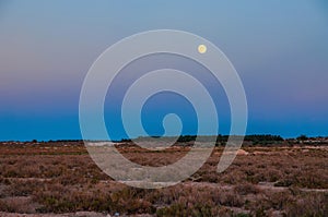 Moon above salt desert Chott el Djerid, Sahara desert, Tunisia, Africa